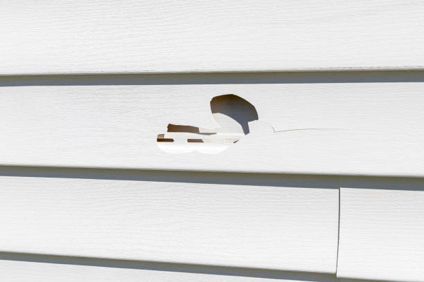 Trusted Strasburg, VA Siding Installation & Repair Experts