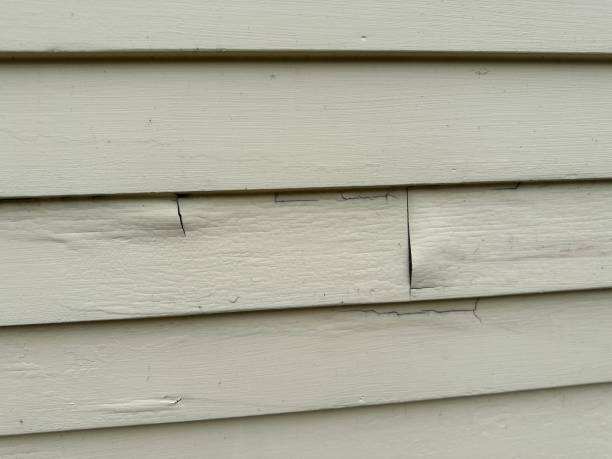 Siding for Commercial Buildings in Strasburg, VA